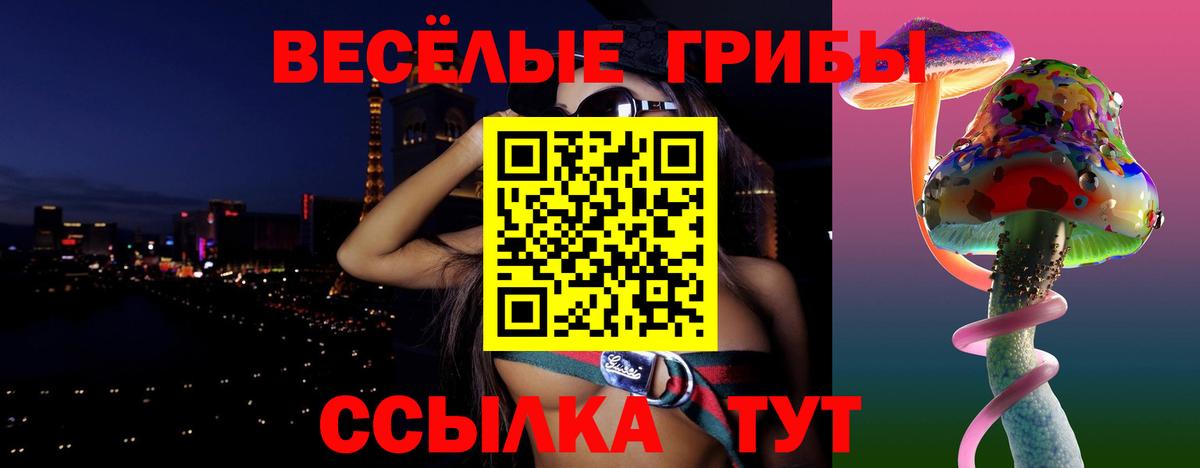 Псилоцибиновые грибы ЛСД  Псилоцибиновые грибы Psilocybine cubensis  продажа наркотиков  Вход с VPN  Новокубанск 