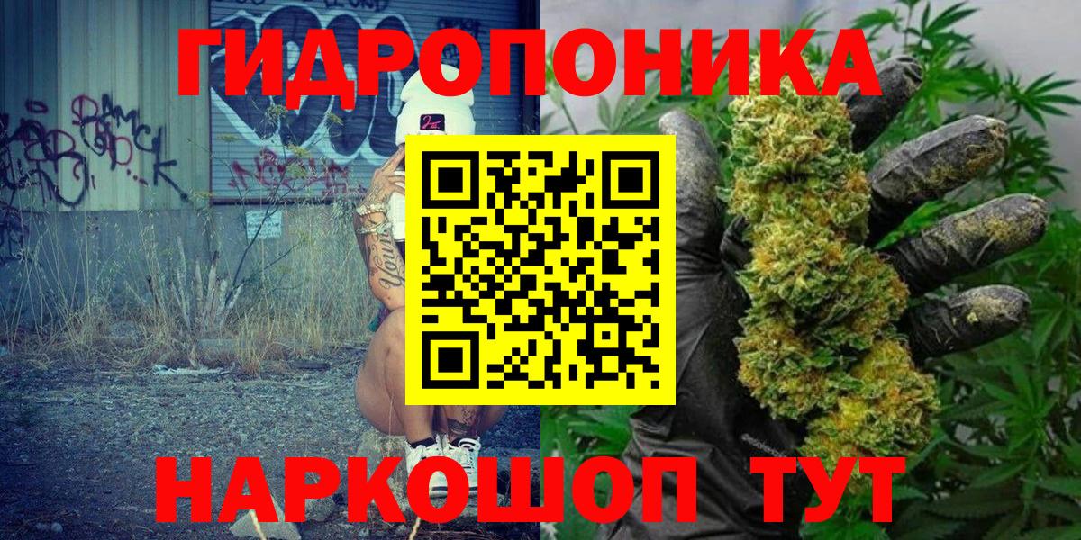 Шишки марихуана семена Новокубанск